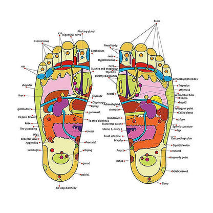 Acupressure Slippers Pain Relief Slipper